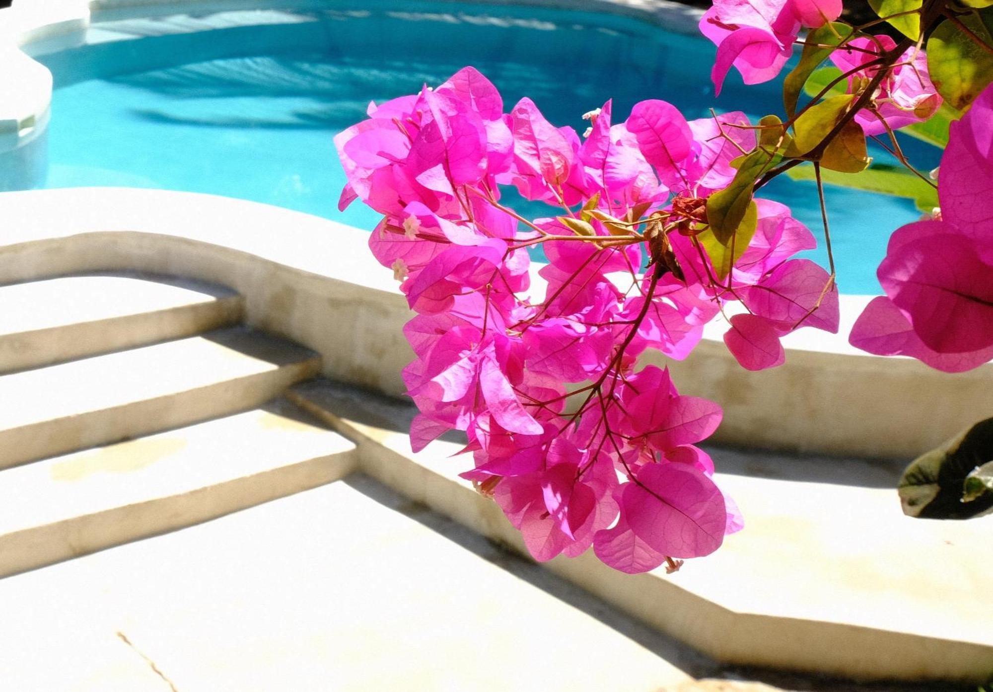 Kobe House Bed & Breakfast 3*